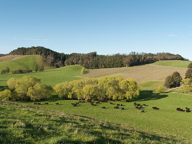 362 Oakwood Road, Oakbank SA 5243