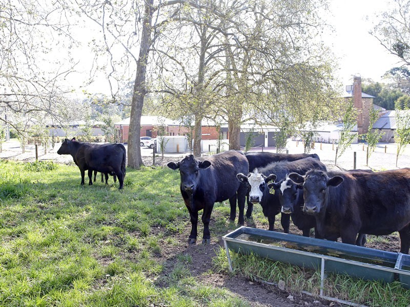 2 Oakwood Road, Oakbank SA 5243