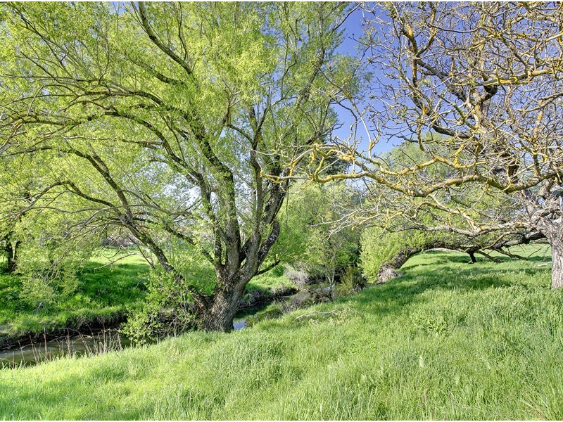 2 Oakwood Road, Oakbank SA 5243