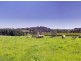195 Oakwood Road, Oakbank SA 5243