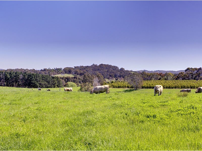 195 Oakwood Road, Oakbank SA 5243