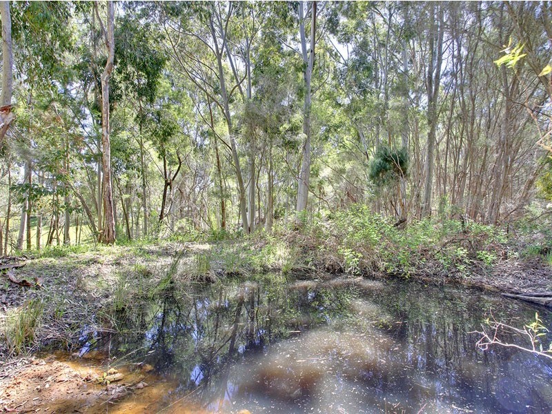 34 Conrad Road, Longwood SA 5153