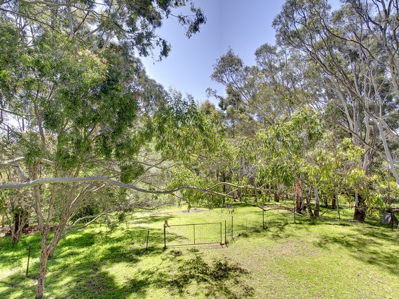 34 Conrad Road, Longwood SA 5153