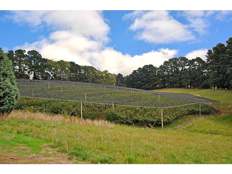 178 Plummers Road, Forest Range SA 5139