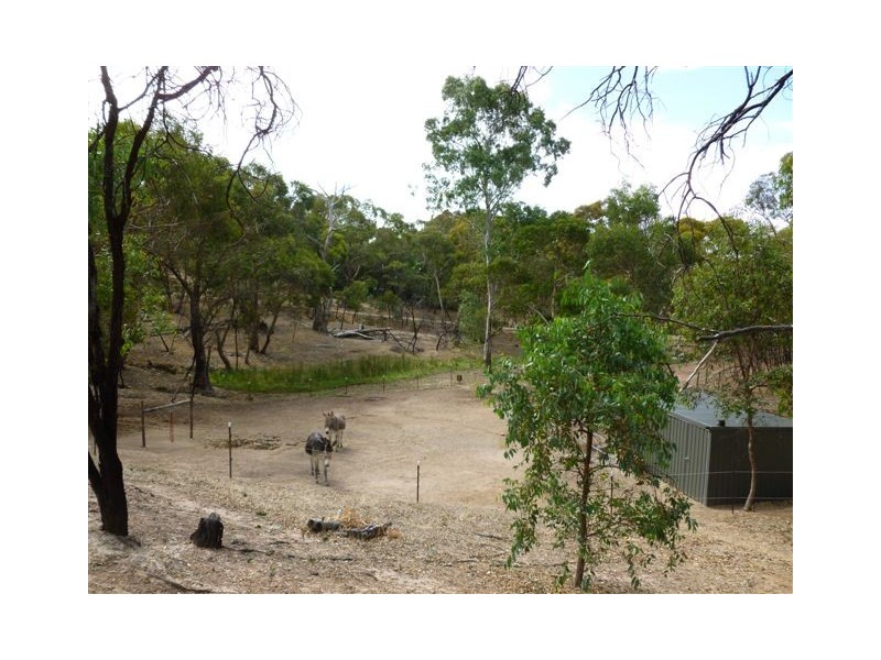 56 Sheoak Road, Humbug Scrub SA 5114