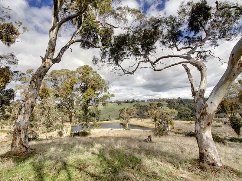 252 Burns Road, Woodside SA 5244