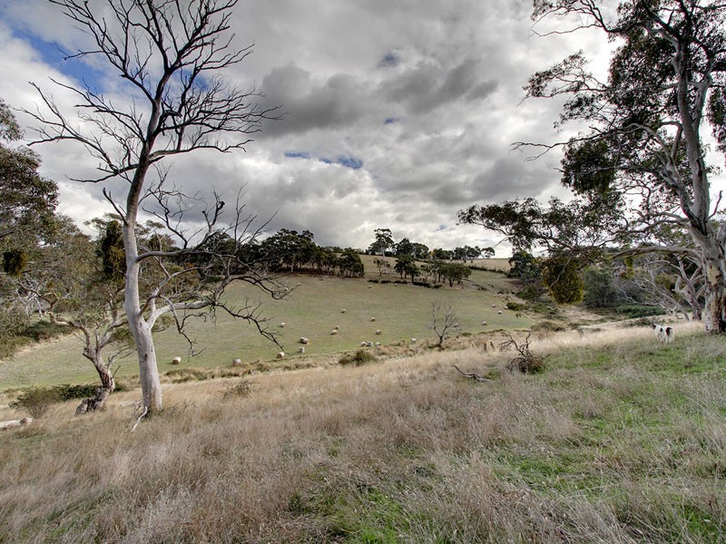 252 Burns Road, Woodside SA 5244