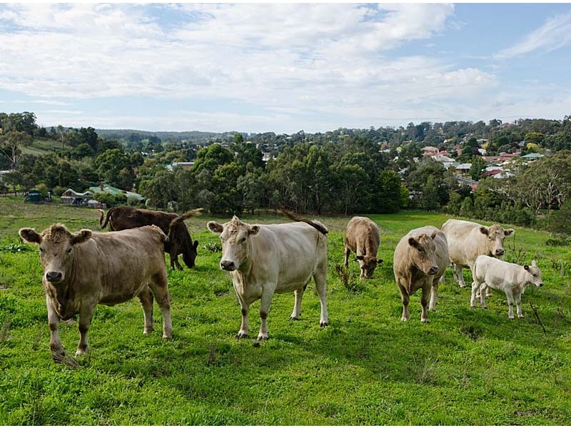30 Adelaide/Lobethal Road, Lobethal SA 5241