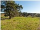 30 Adelaide/Lobethal Road, Lobethal SA 5241