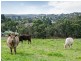 30 Adelaide/Lobethal Road, Lobethal SA 5241