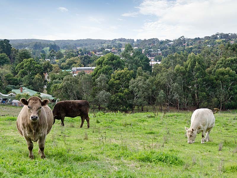 30 Adelaide/Lobethal Road, Lobethal SA 5241