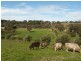 30 Adelaide/Lobethal Road, Lobethal SA 5241