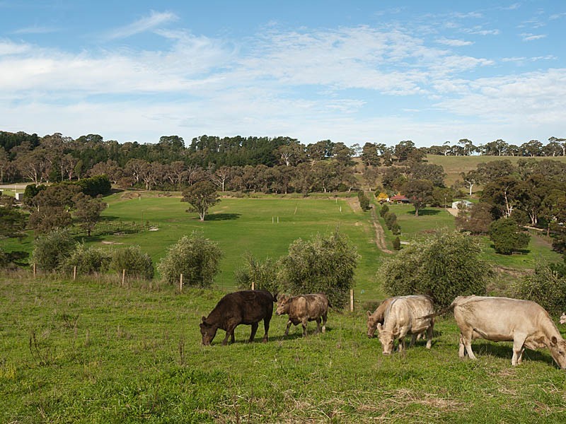 30 Adelaide/Lobethal Road, Lobethal SA 5241