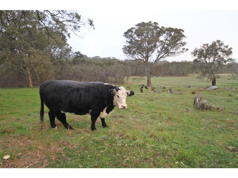 222 Range Road, Woodside SA 5244