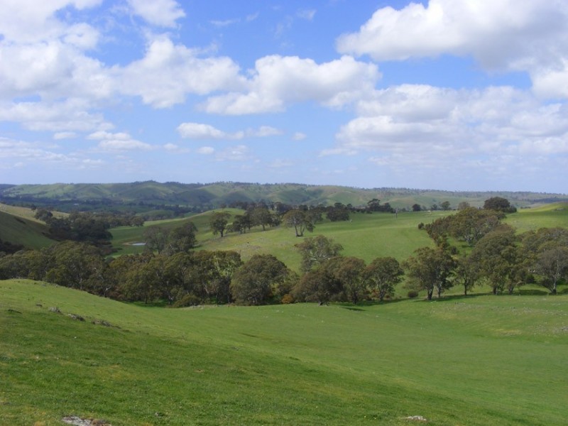 Lots 5-11 Brice Drive (off Range Road), Woodside SA 5244