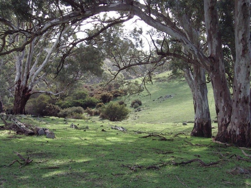 Lots 5-11 Brice Drive (off Range Road), Woodside SA 5244