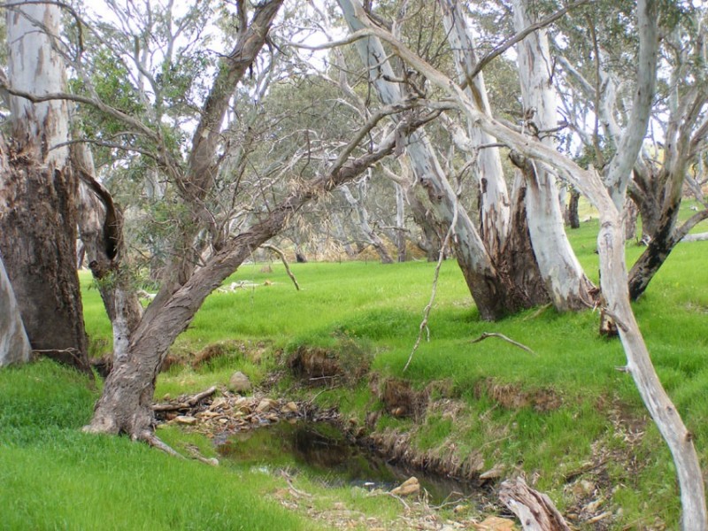 Lots 5-11 Brice Drive (off Range Road), Woodside SA 5244