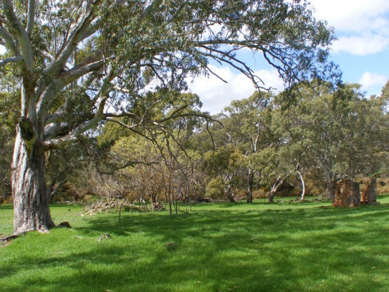 Lots 5-11 Brice Drive (off Range Road), Woodside SA 5244