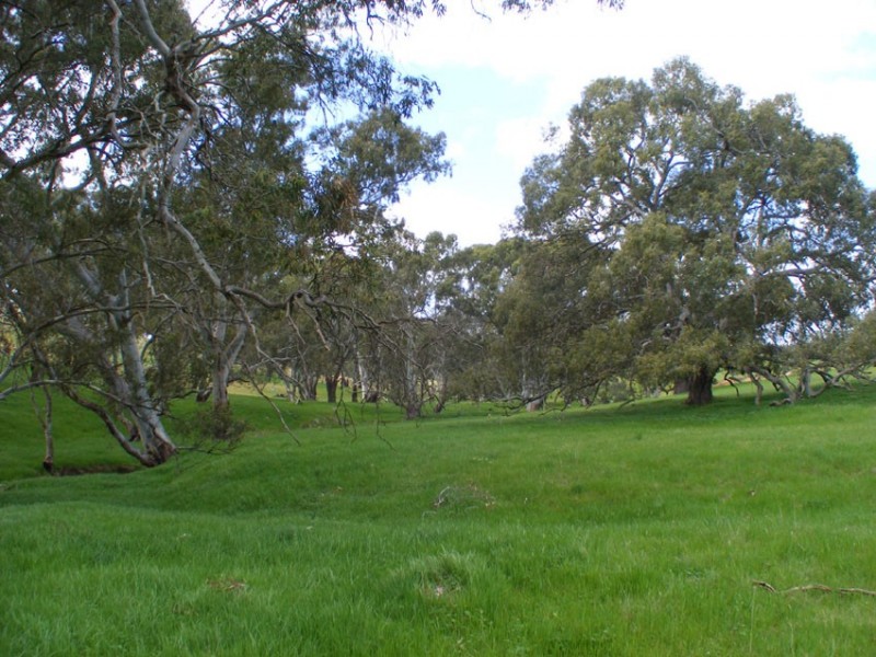 Lots 5-11 Brice Drive (off Range Road), Woodside SA 5244