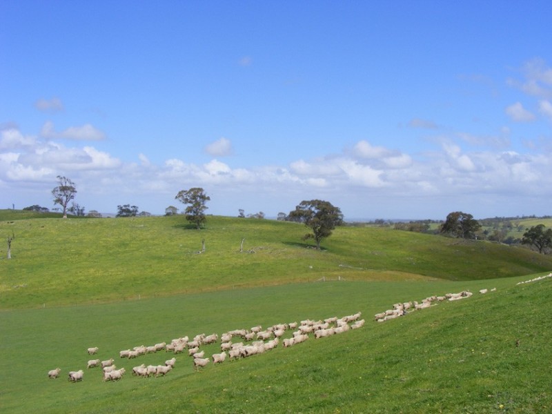 Lots 5-11 Brice Drive (off Range Road), Woodside SA 5244