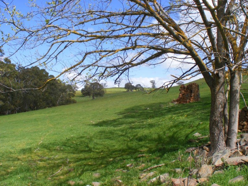 Lots 5-11 Brice Drive (off Range Road), Woodside SA 5244