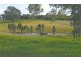 Lot 2 Harrogate Road, Harrogate SA 5244