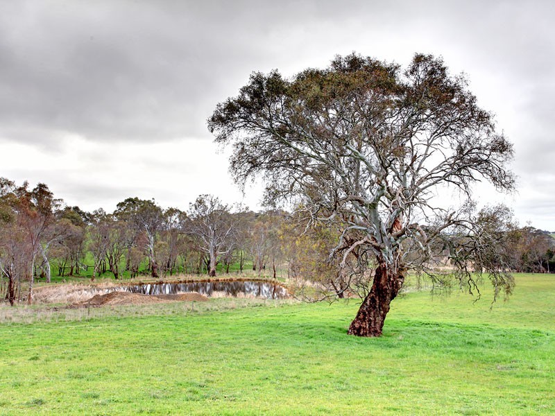 221 Gladigau Road, Mount Torrens SA 5244