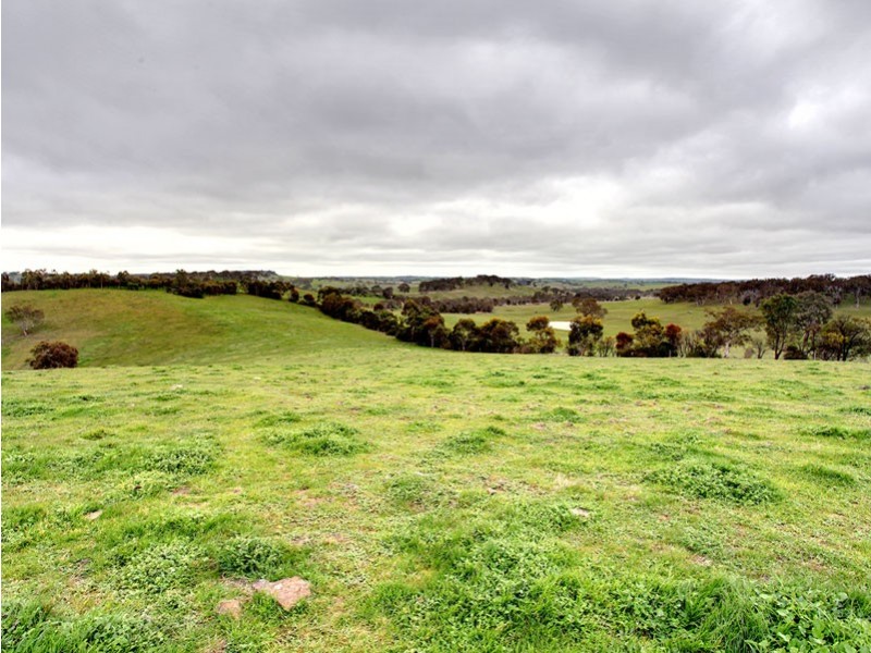 221 Gladigau Road, Mount Torrens SA 5244