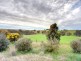 Lot 2 The Glen Road, Harrogate SA 5244