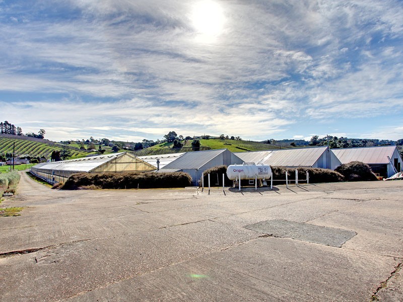 Lot 220 Swamp and Days Roads, Uraidla SA 5142