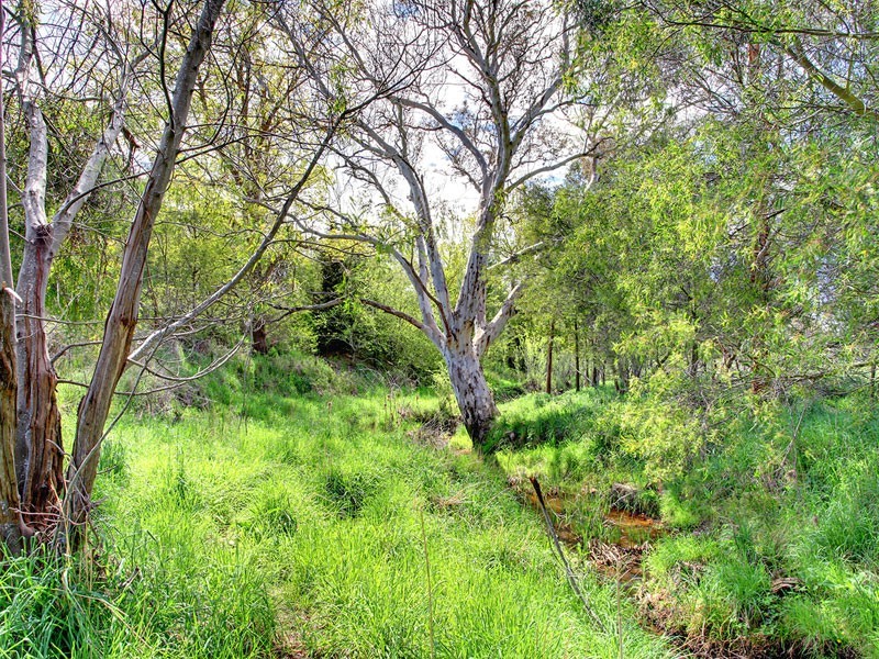 195 Tiers Road, Woodside SA 5244