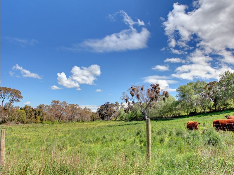 195 Tiers Road, Woodside SA 5244