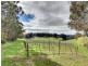 534 Mawson Road, Lenswood SA 5240