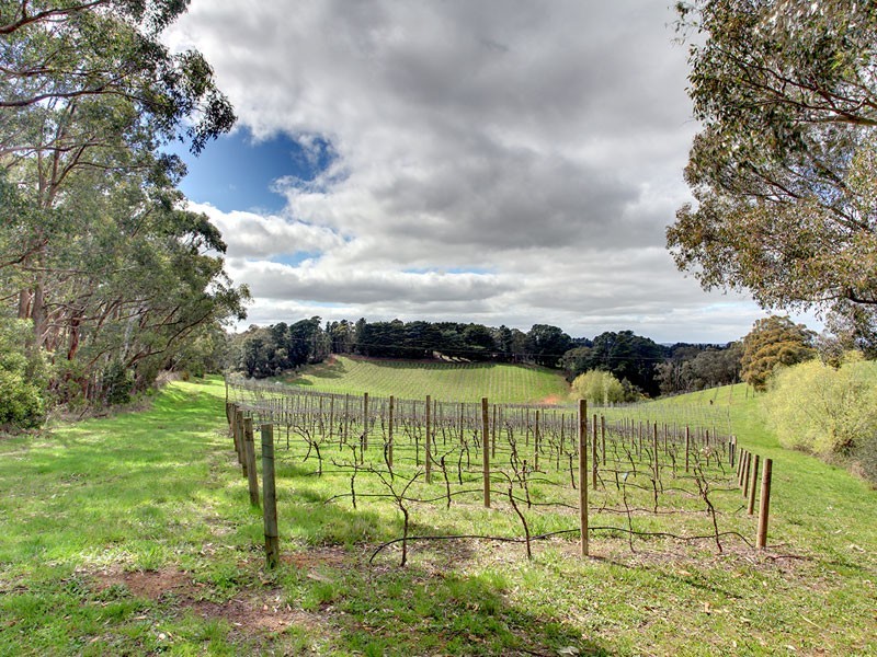 534 Mawson Road, Lenswood SA 5240