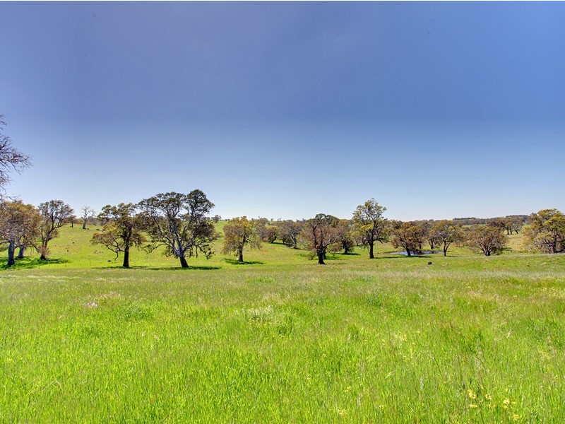 70 Scottsburn Road, Woodside SA 5244