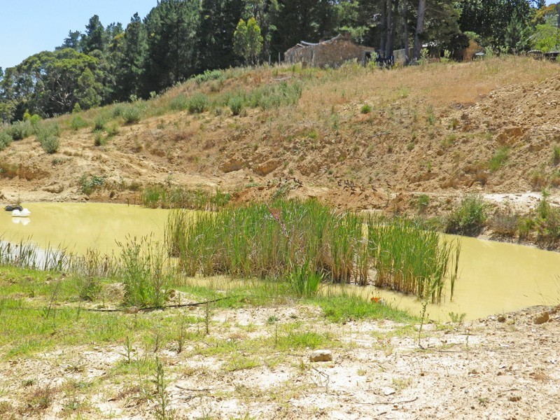 262 Basket Range Road, Basket Range SA 5138