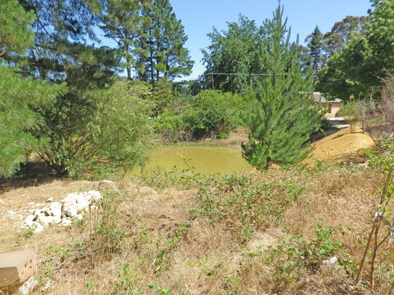 262 Basket Range Road, Basket Range SA 5138