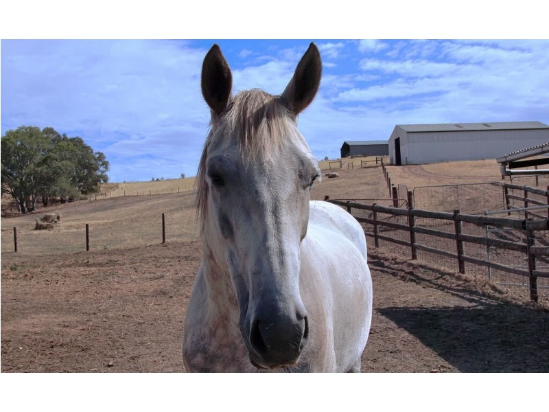 43 Mail Road, Harrogate SA 5244