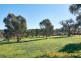 14 Webber Drive, Nairne SA 5252