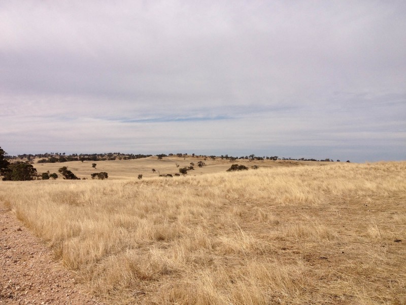 Lots 97 to 100 Range Road, Rockleigh SA 5254