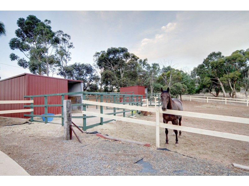 308 Medlow Road, One Tree Hill SA 5114