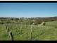 2485 Greenhill Road, Balhannah SA 5242