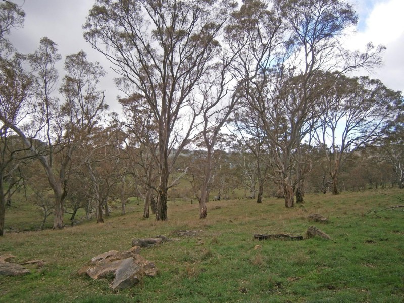 129 Five Bob Road, Woodside SA 5244