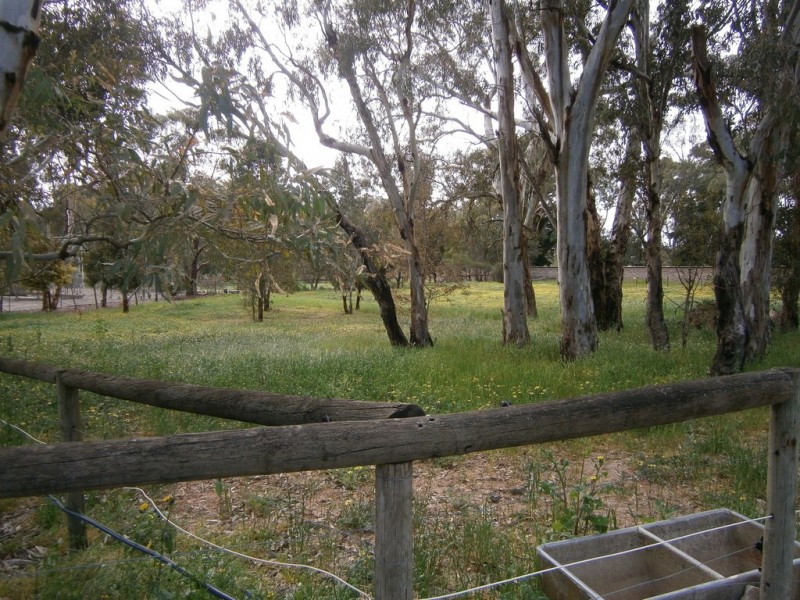 8 Onkaparinga Valley Road, Balhannah SA 5242