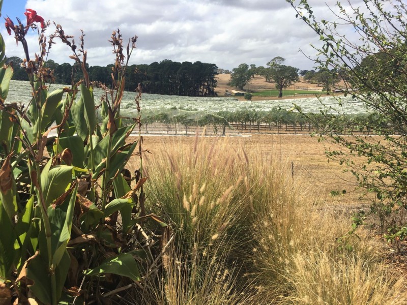 39 Sydney Road, Nairne SA 5252