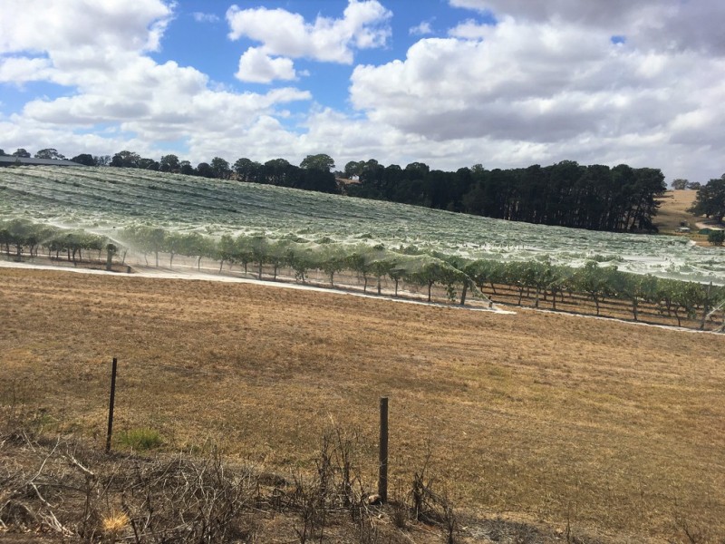 39 Sydney Road, Nairne SA 5252