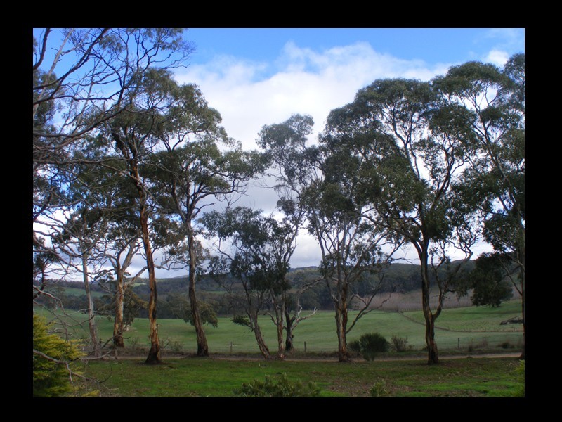 67 Baldocks Road, Woodside SA 5244