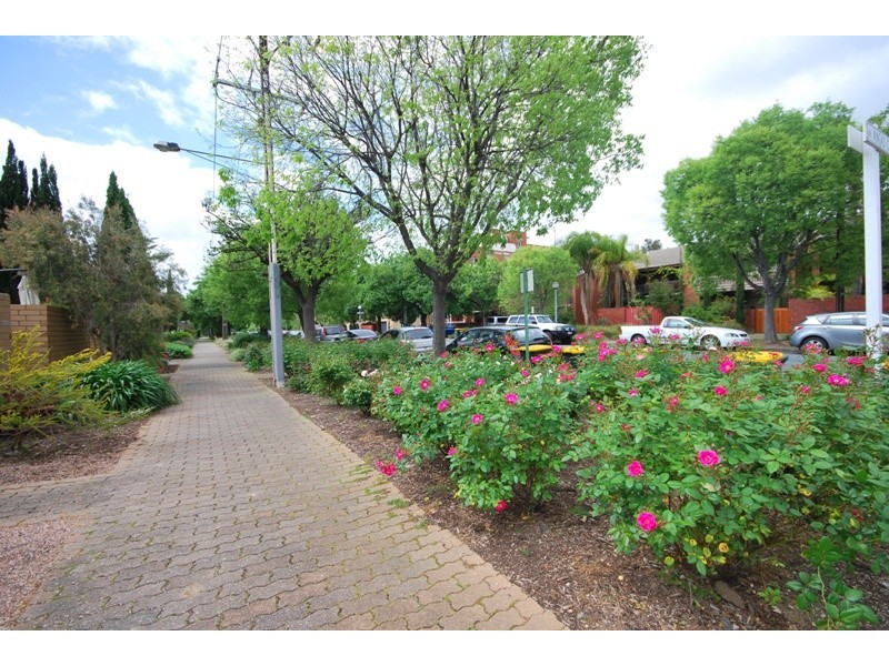 3/326 Angas Street, Adelaide SA 5000