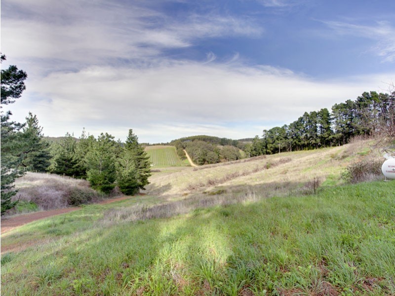 11 Hewletts Road, Forest Range SA 5139