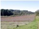 11 Hewletts Road, Forest Range SA 5139